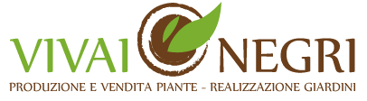 VIVAIO NEGRI – Produzione e vendita piante da giardino e piante da frutto a Latiano, brindisi, mesagne, taranto, lecce, ostuni, fasano, cisternino Vendita carrubo e olivi secolari